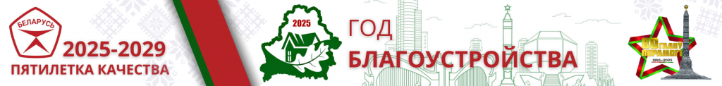 ЗАСТАВКА САЙТ ГОД БЛАГОУСТРОЙСТВА.png