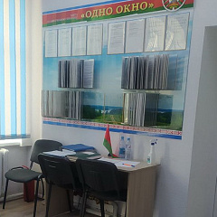 Рабочы візіт у службу "адно акно" Лепельскага раёна Віцебскай вобласці