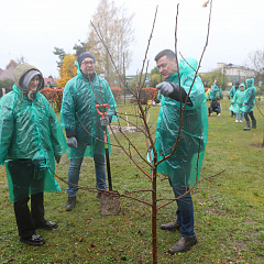 Работники Министерства юстиции приняли участие в республиканском субботнике 