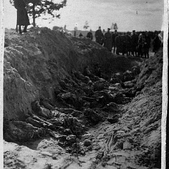 Трупы советских граждан, замученных и расстрелянных нацистами в д. Стоневичи Ивьевского района. Национальный архив Республики Беларусь.