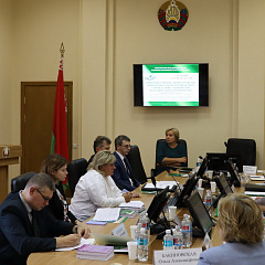 Прадстаўнікі Мінюста прынялі ўдзел у абмеркаванні нюансаў рэалізацыі і развіцця заканадаўства ў сферы выканаўчага вядзення