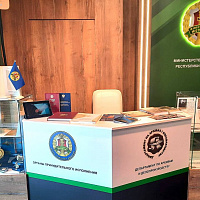 XIII Петербургский международный юридический форум