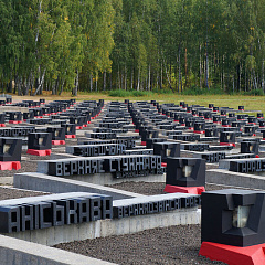 «Кладбище деревень» в мемориальном комплексе «Хатынь». [2013 год]