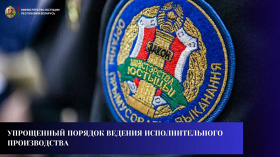 Упрощенный порядок ведения исполнительного производства: шаг к современной и эффективной системе исполнения исполнительных документов