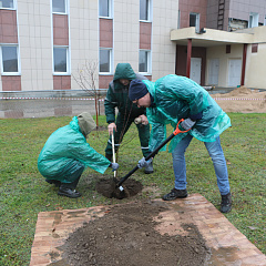 Работники Министерства юстиции приняли участие в республиканском субботнике 