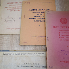 Ала Бадак: Канстытуцыя - гэта пашпарт дзяржавы, па якой жывуць усе грамадзяне
