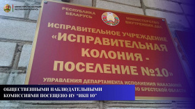 Общественными наблюдательными комиссиями посещено исправительное учреждение