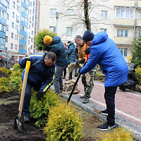 Субботник