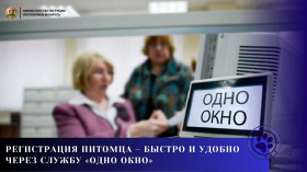 Регистрация питомца – быстро и удобно через службу «одно окно»